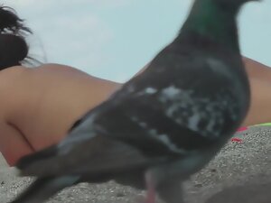 Pigeon walks in front beach voyeur's camera
