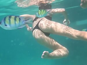 Tight ass and tropical fishes